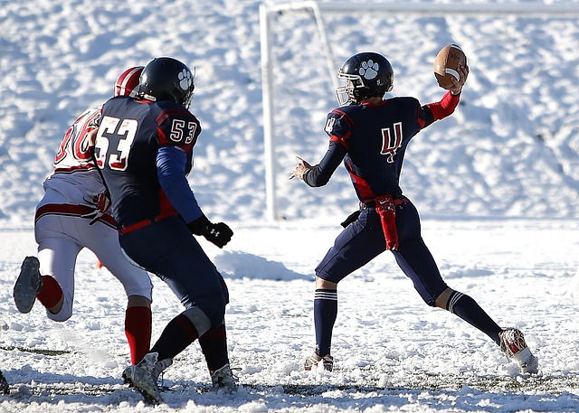 的关键一员 的关键一员